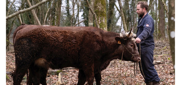 Bouw je mee aan de ossenwagen op 6 maart?